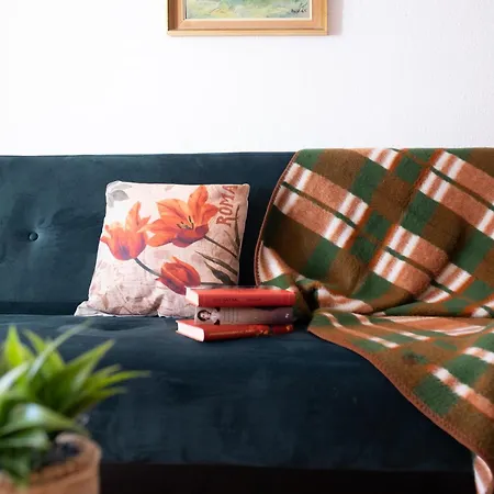 Blick Auf Sachsenhoehe * Altenberg